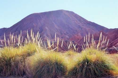 TREKKING NEL DESERTO DI ATACAMA 2015